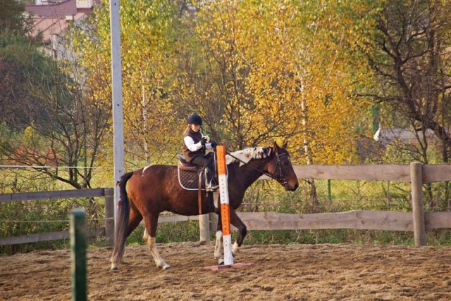 Hubertus 2009